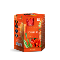 Тюльпаны Салют купить #REGION_NAME_DECLINE_PP# | #REGION_TAG_VSTAVKA_TAYT#