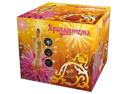 Хризантема Салют купить в Михайловске Свердловской области | mihajlovsksverdlovskaya.salutsklad.ru