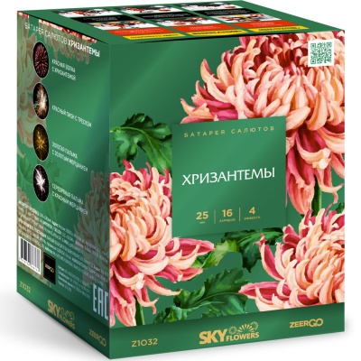 Хризантемы Фейерверк купить в Михайловске Свердловской области | mihajlovsksverdlovskaya.salutsklad.ru