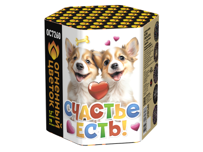 Счастье есть! Салют купить в Михайловске Свердловской области | mihajlovsksverdlovskaya.salutsklad.ru