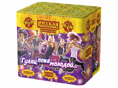 Гуляй, пока молодой Салют купить в Михайловске Свердловской области | mihajlovsksverdlovskaya.salutsklad.ru